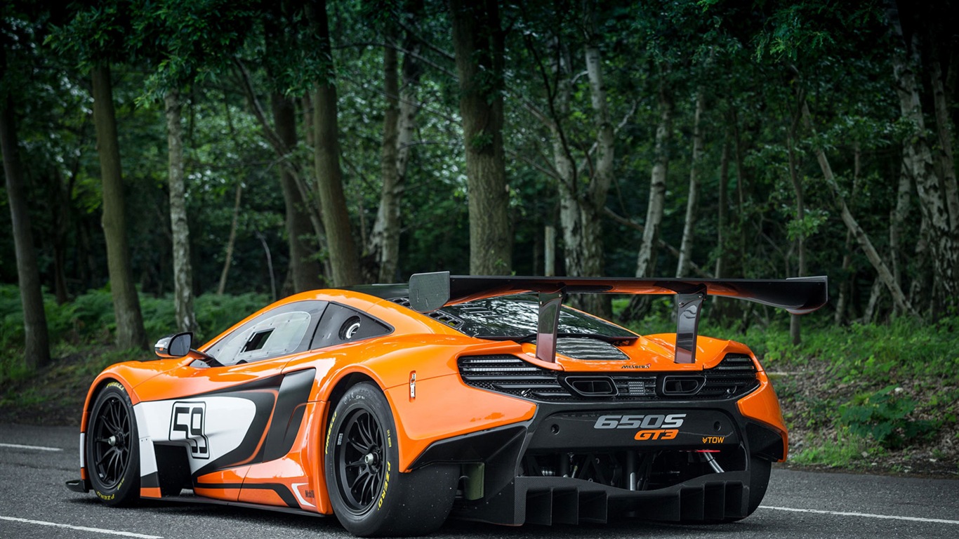 2015邁凱倫650S GT3 超級跑車高清壁紙 #5 - 1366x768