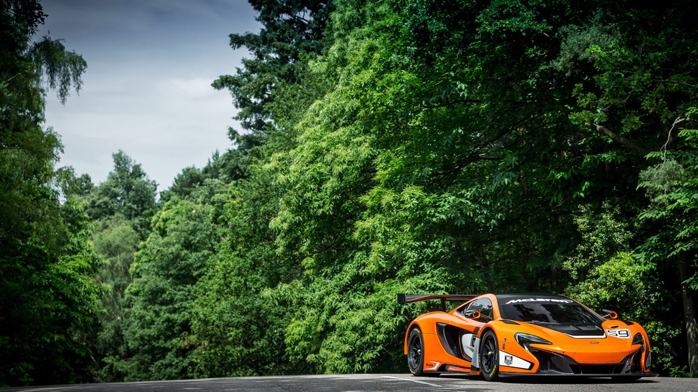 2015迈凯伦650S GT3 超级跑车高清壁纸7 - 1366x768