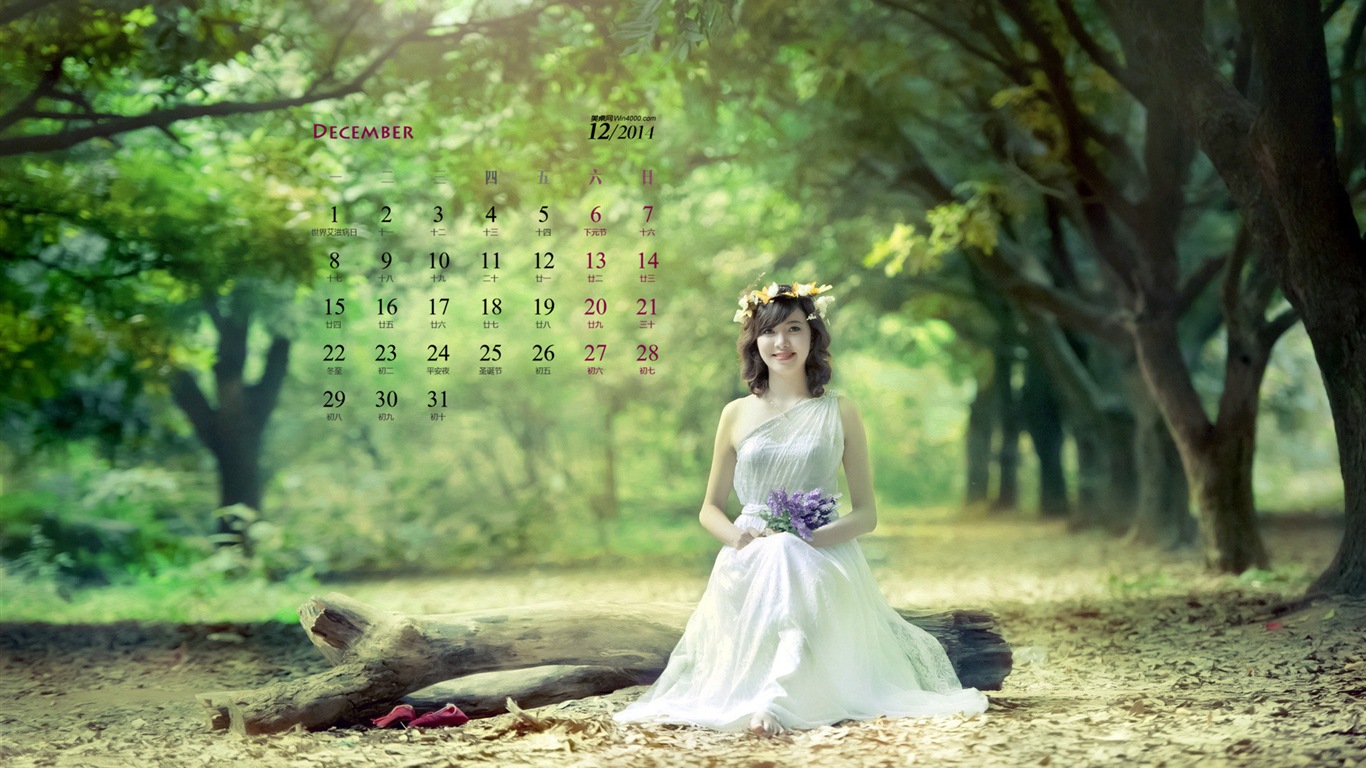 december-2014-calendar-wallpaper-1-5-1366x768-wallpaper-download