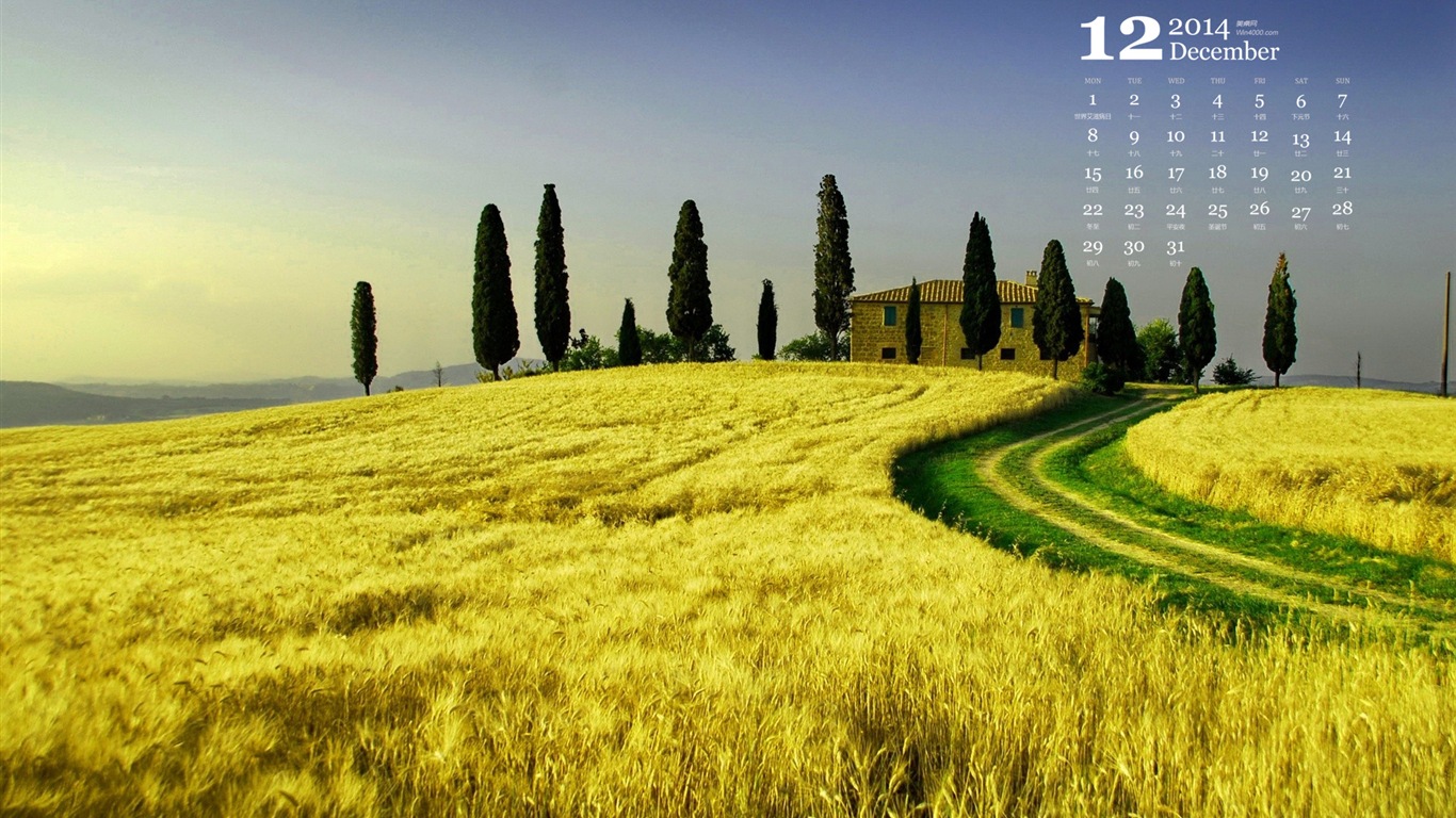 December 2014 Calendar wallpaper (1) #9 - 1366x768