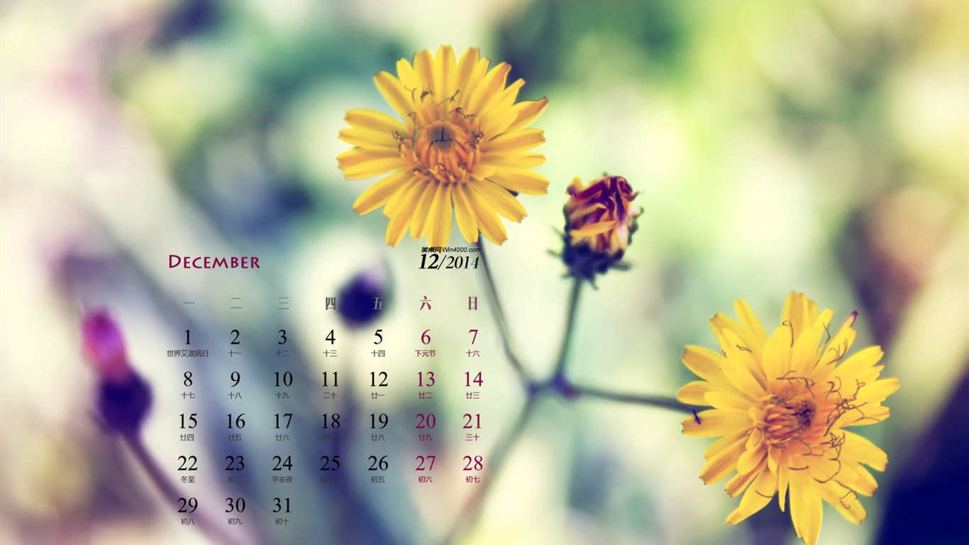 December 2014 Calendar wallpaper (1) #10 - 1366x768