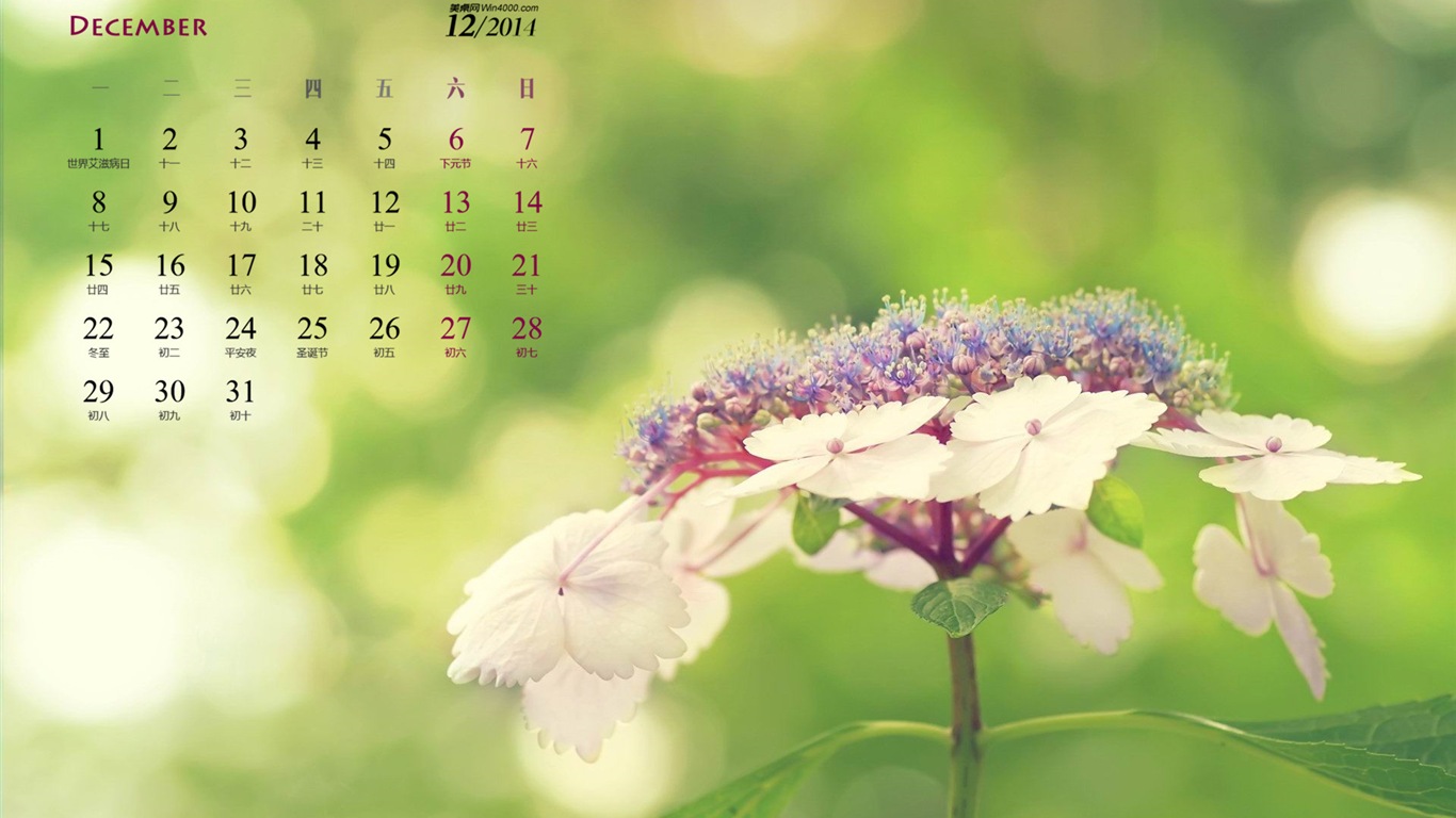 2014年12月 月曆壁紙(一) #12 - 1366x768