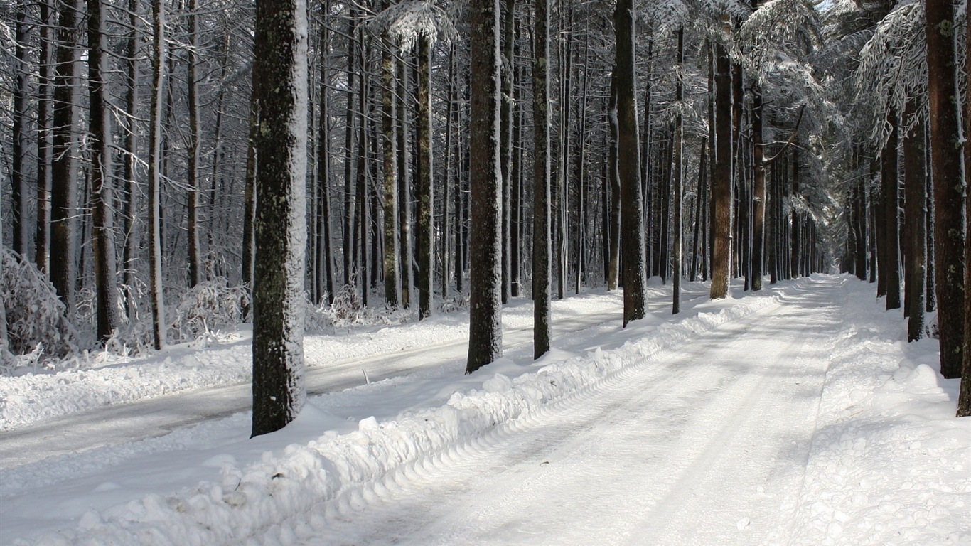 Zima, sníh, hory, jezera, stromy, silnice HD tapety na plochu #3 - 1366x768