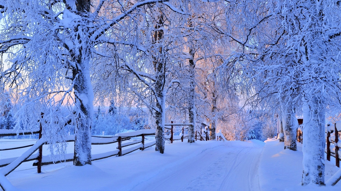 冬天的雪景，山，湖，树木，道路 高清壁纸4 - 1366x768