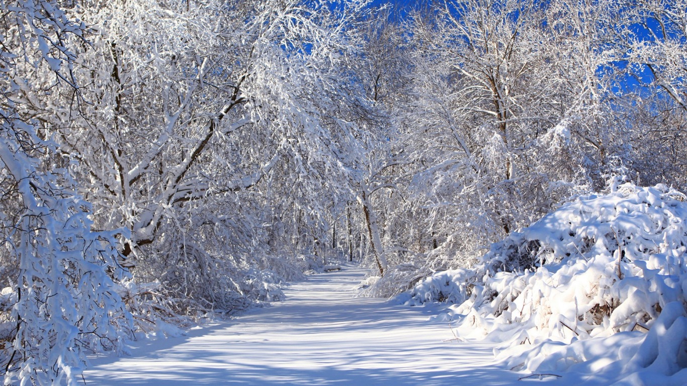 Zima, sníh, hory, jezera, stromy, silnice HD tapety na plochu #5 - 1366x768