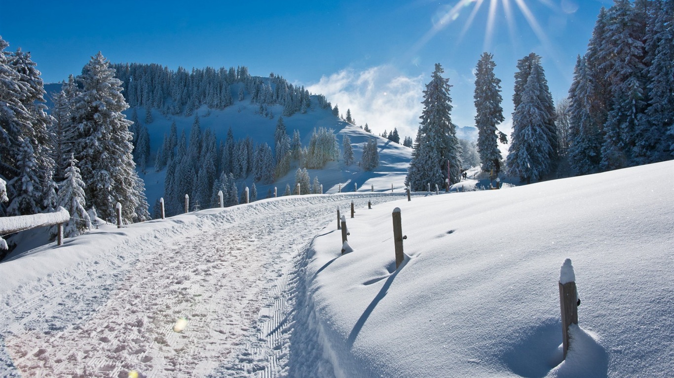 冬天的雪景，山，湖，树木，道路 高清壁纸6 - 1366x768