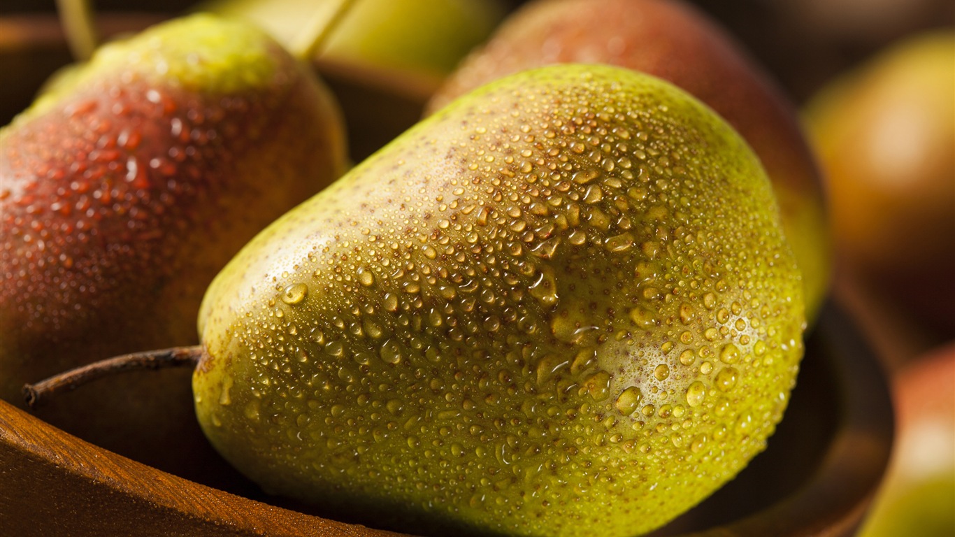 Succulent fruit, pears close-up HD wallpapers #4 - 1366x768