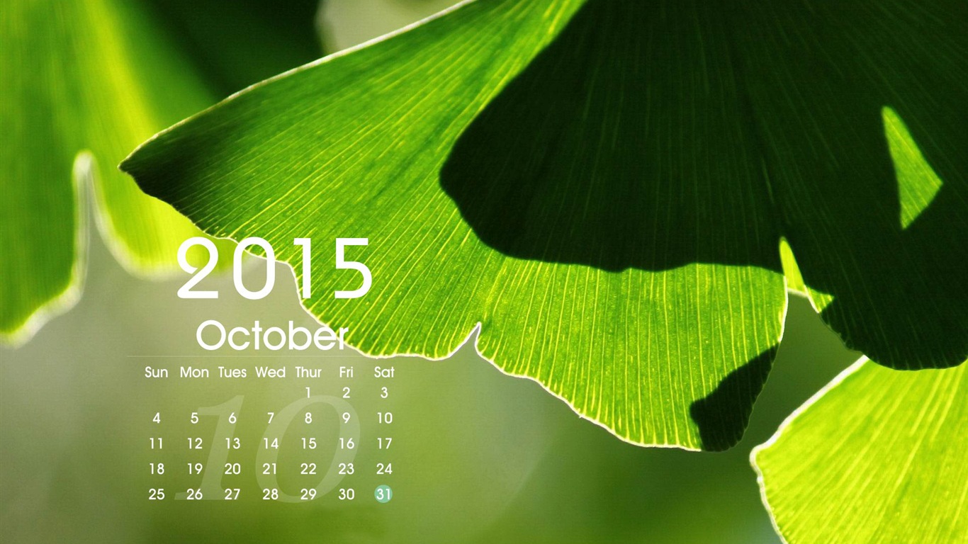 Kalender 2015 HD Wallpaper #15 - 1366x768