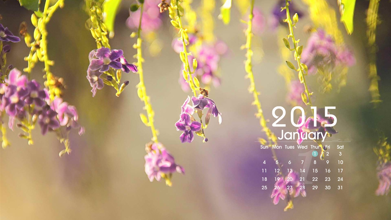 January 2015 calendar wallpaper (1) #1 - 1366x768