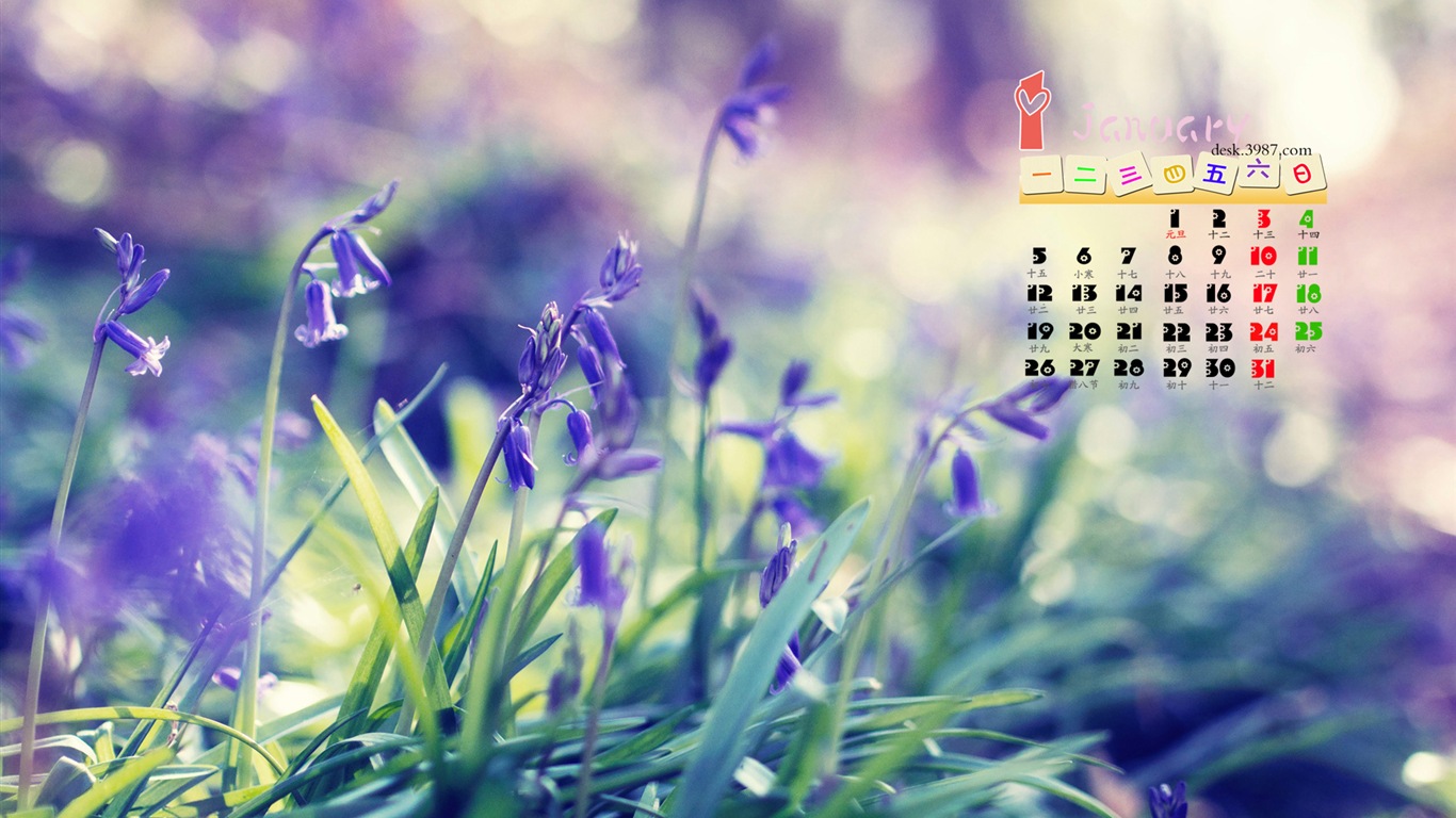 01 2015 fondos de escritorio calendario (1) #10 - 1366x768