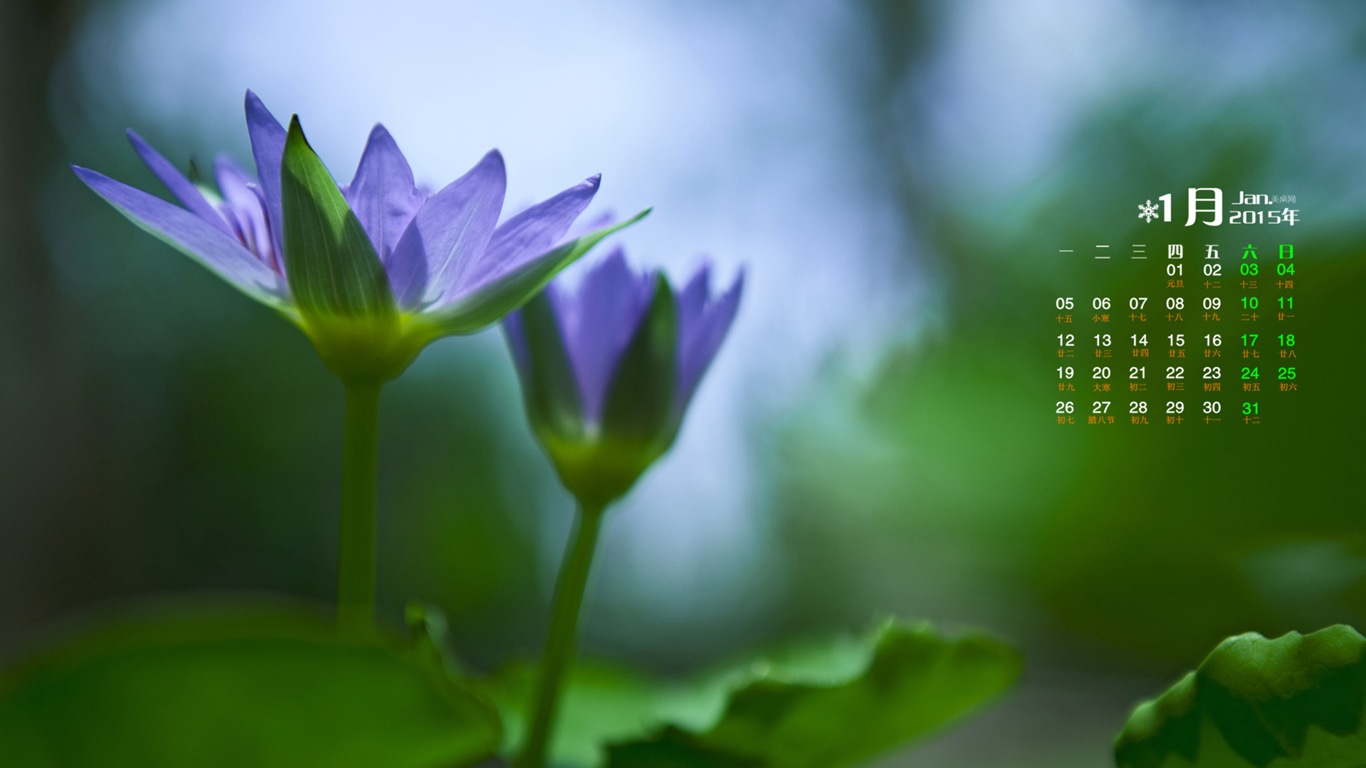 2015年1月 月曆壁紙(一) #12 - 1366x768