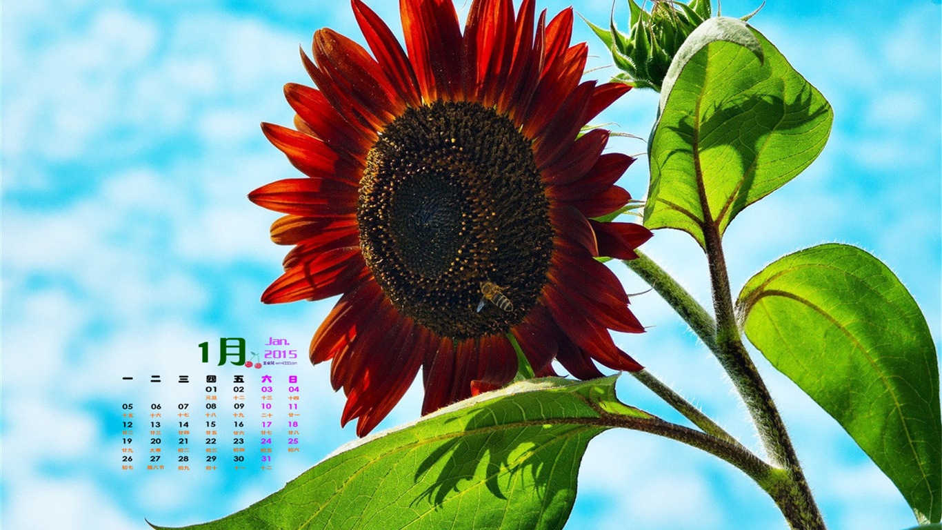 Januar 2015 Kalender Wallpaper (1) #14 - 1366x768