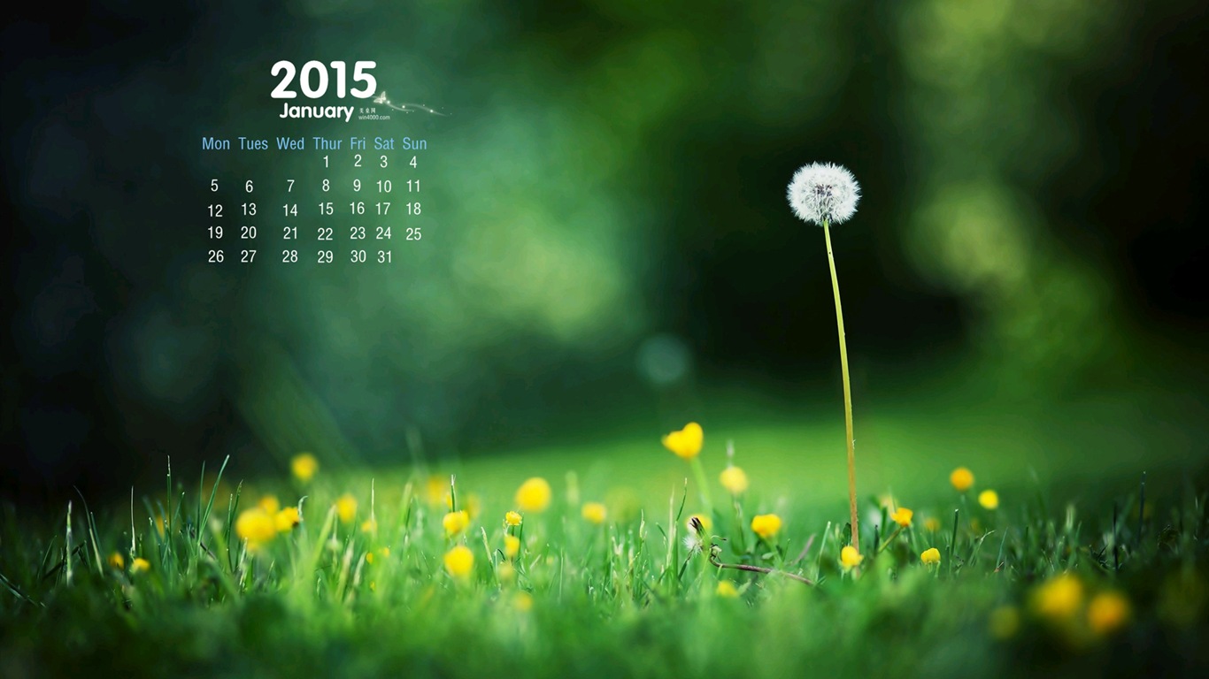 2015年1月 月曆壁紙(一) #15 - 1366x768
