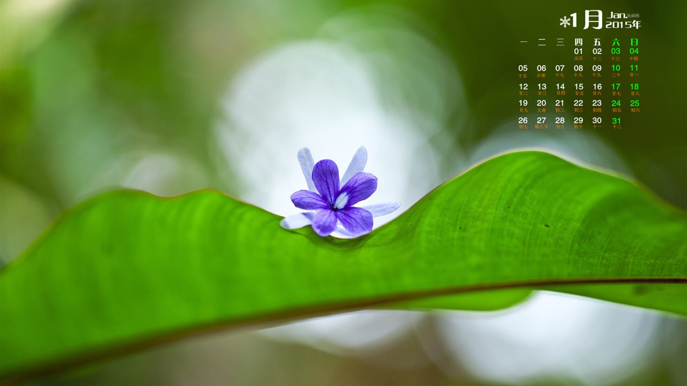 2015年1月 月曆壁紙(一) #18 - 1366x768