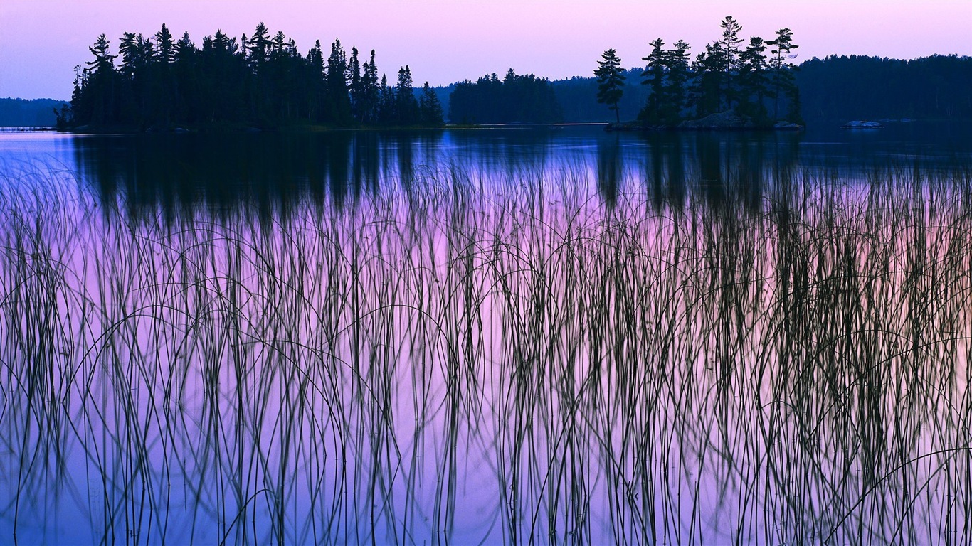 Belles couleurs de la nature des fonds d'écran HD #1 - 1366x768