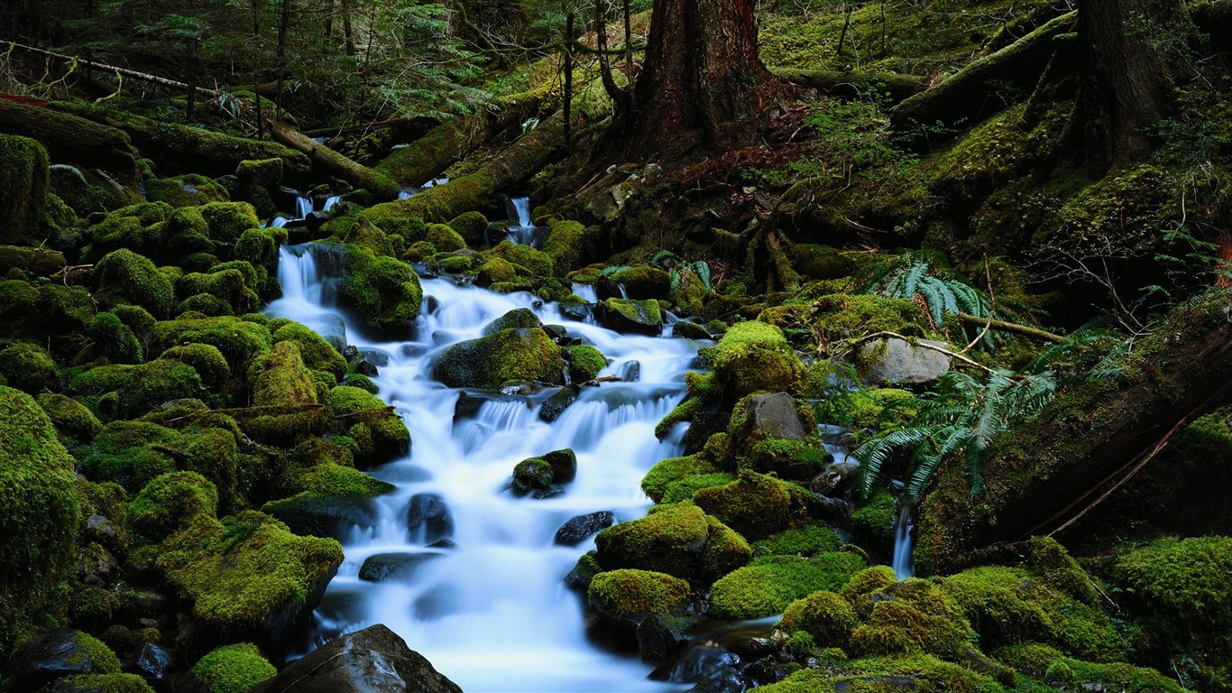 Belles couleurs de la nature des fonds d'écran HD #20 - 1366x768