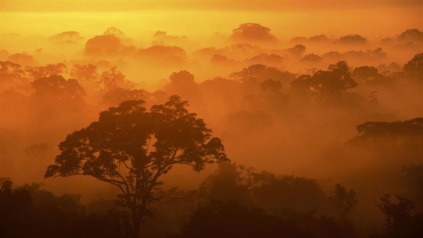 Fondos de pantalla seductora hermosa HD paisajes naturales #3 - 1366x768