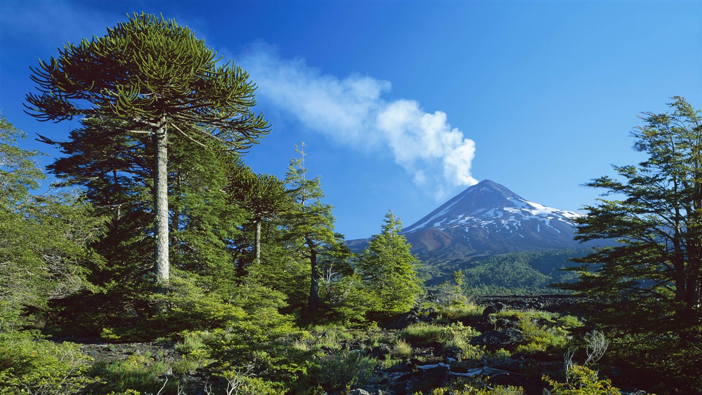 唯美养眼的自然风景 高清壁纸17 - 1366x768