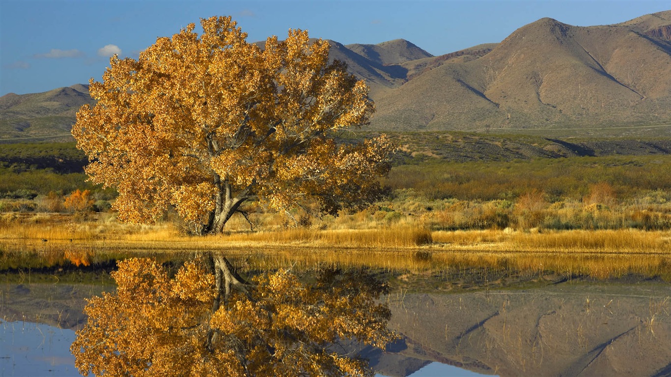 唯美养眼的自然风景 高清壁纸19 - 1366x768