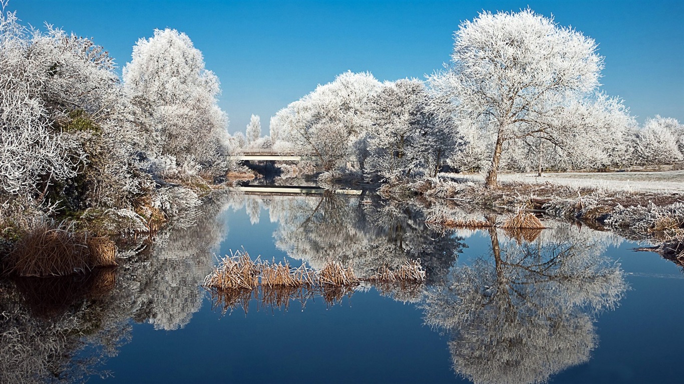 Neige d'hiver fonds d'écran HD magnifique de paysages #2 - 1366x768