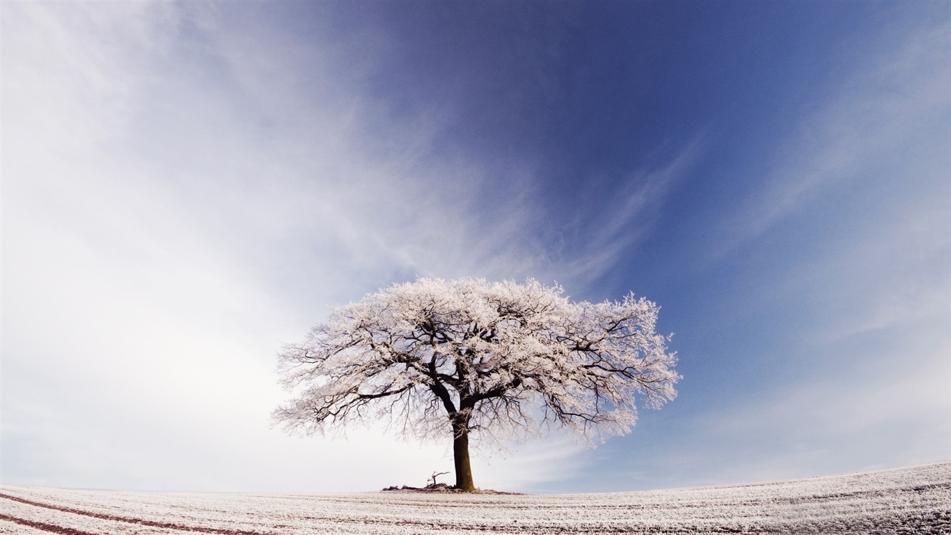 Neige d'hiver fonds d'écran HD magnifique de paysages #4 - 1366x768