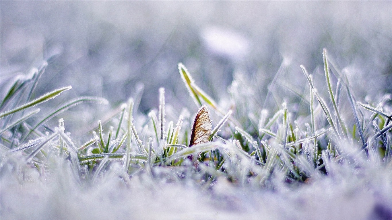 Neige d'hiver fonds d'écran HD magnifique de paysages #5 - 1366x768