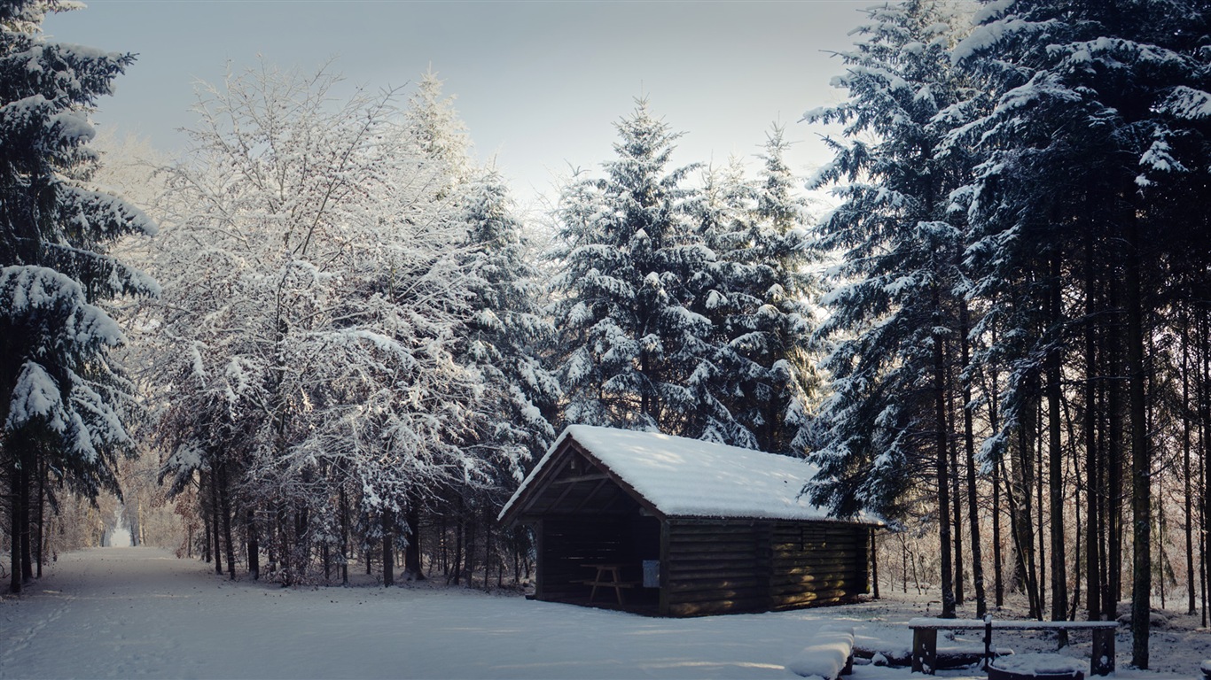 Neige d'hiver fonds d'écran HD magnifique de paysages #12 - 1366x768