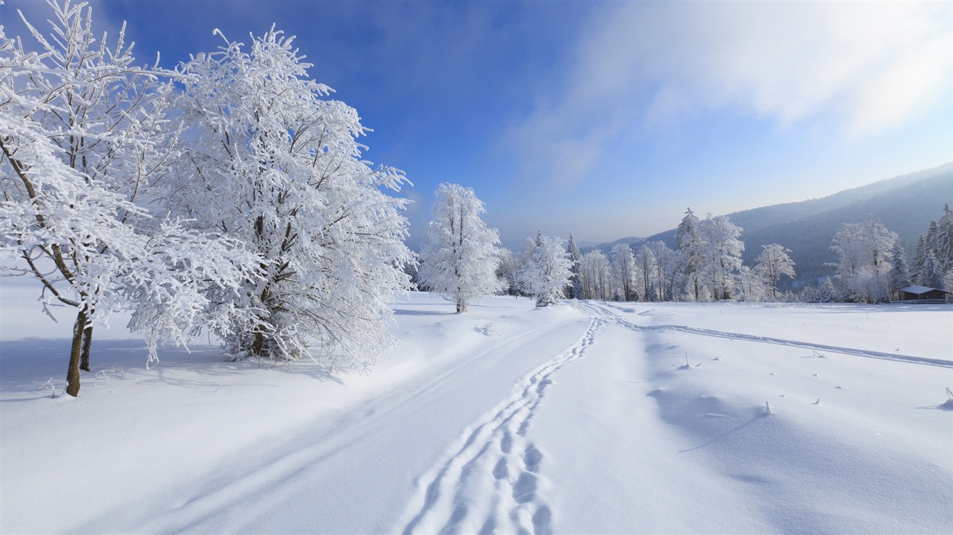 冬の雪の美しい風景のHDの壁紙 #14 - 1366x768