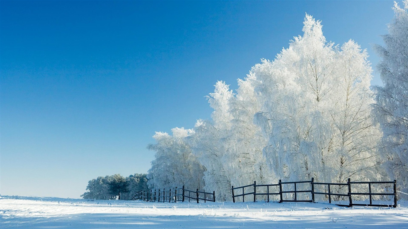 Neige d'hiver fonds d'écran HD magnifique de paysages #15 - 1366x768