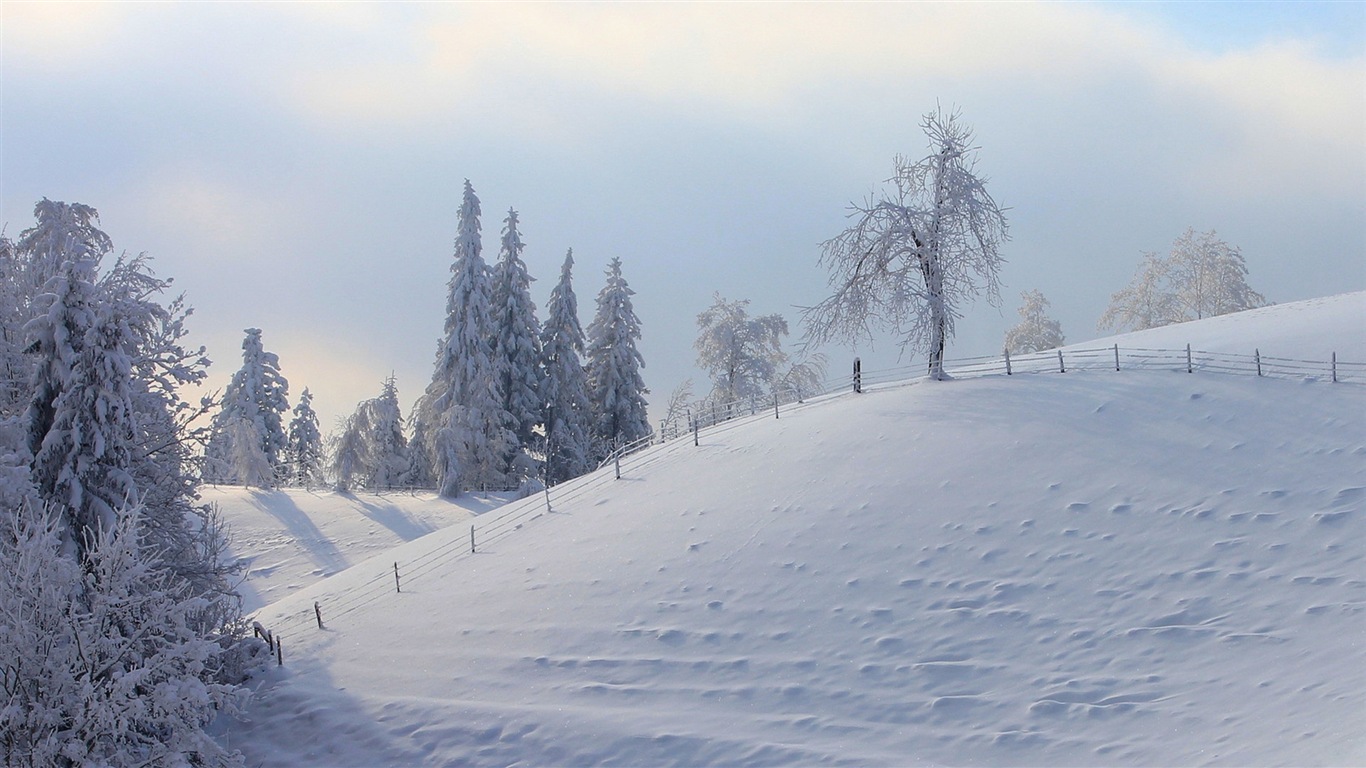 Neige d'hiver fonds d'écran HD magnifique de paysages #16 - 1366x768