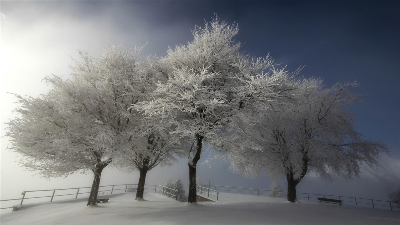 Neige d'hiver fonds d'écran HD magnifique de paysages #18 - 1366x768