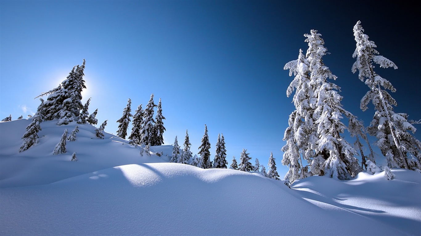 冬季冰雪美景 高清壁纸19 - 1366x768