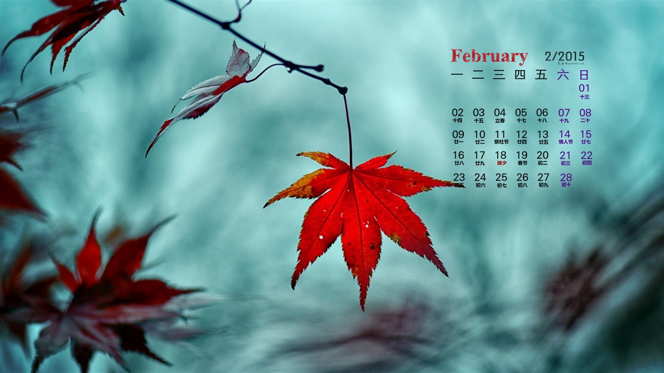 Februar 2015 Kalender Wallpaper (1) #9 - 1366x768