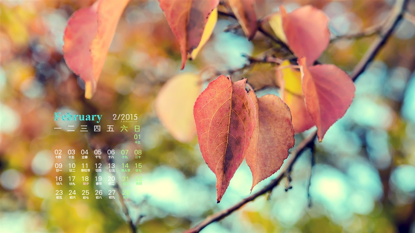 2015年2月 月曆壁紙(一) #10 - 1366x768