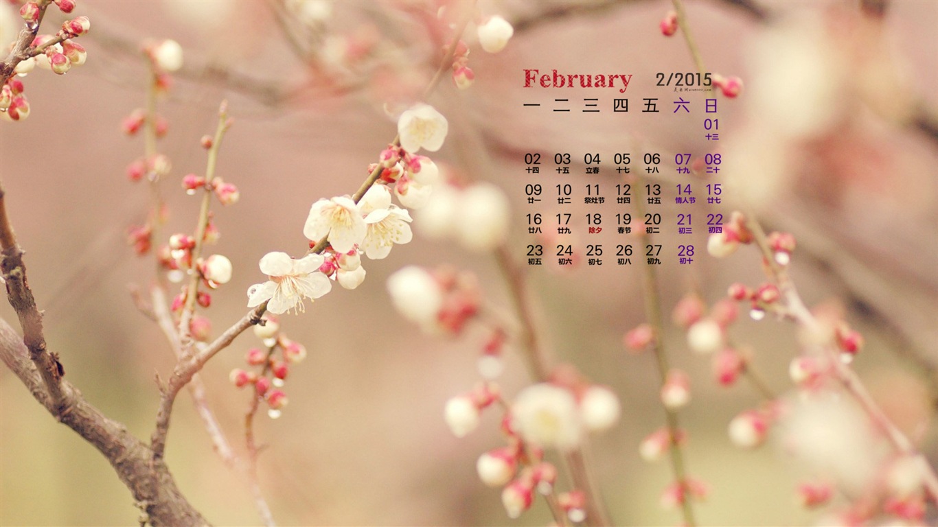 Februar 2015 Kalender Wallpaper (1) #12 - 1366x768