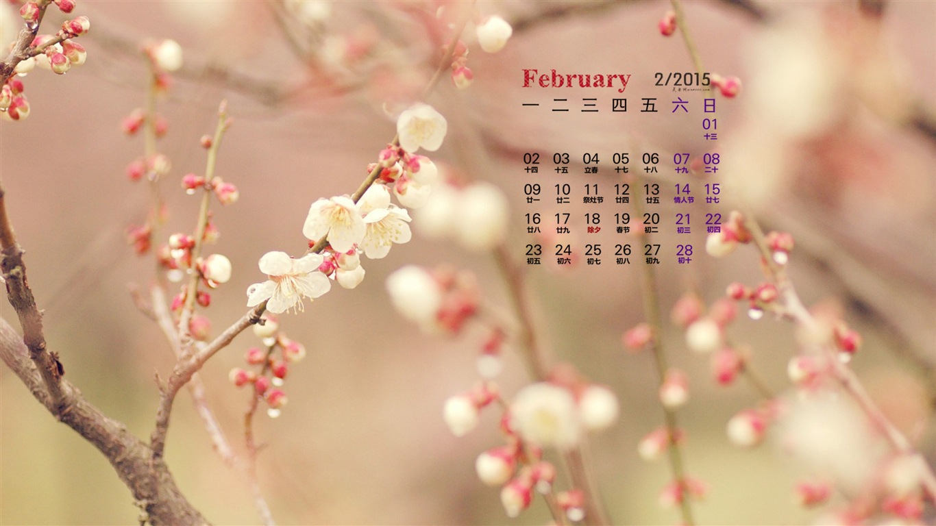 2015年2月 月曆壁紙(一) #12 - 1366x768