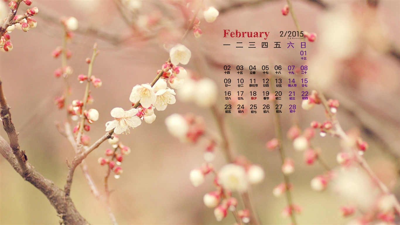 2015年2月 月历壁纸(一)12 - 1366x768