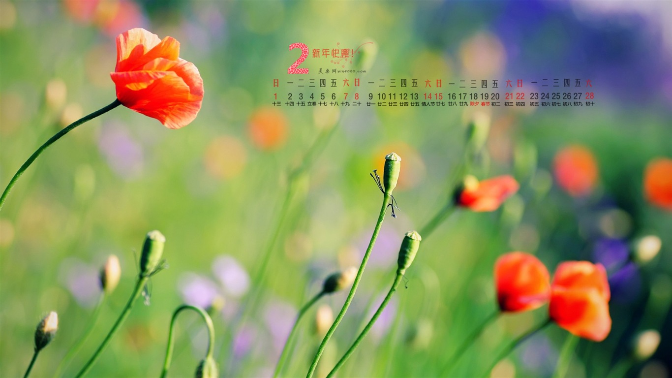 2015年2月 月曆壁紙(一) #13 - 1366x768