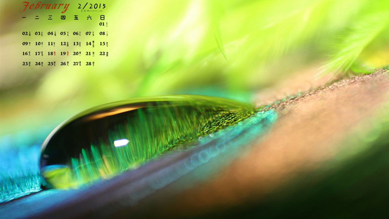 2015年2月 月曆壁紙(一) #18 - 1366x768