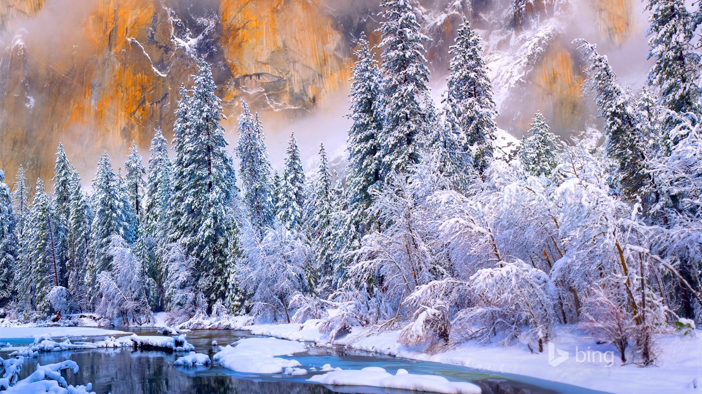 2015年1月 Bing必應高清壁紙 #1 - 1366x768