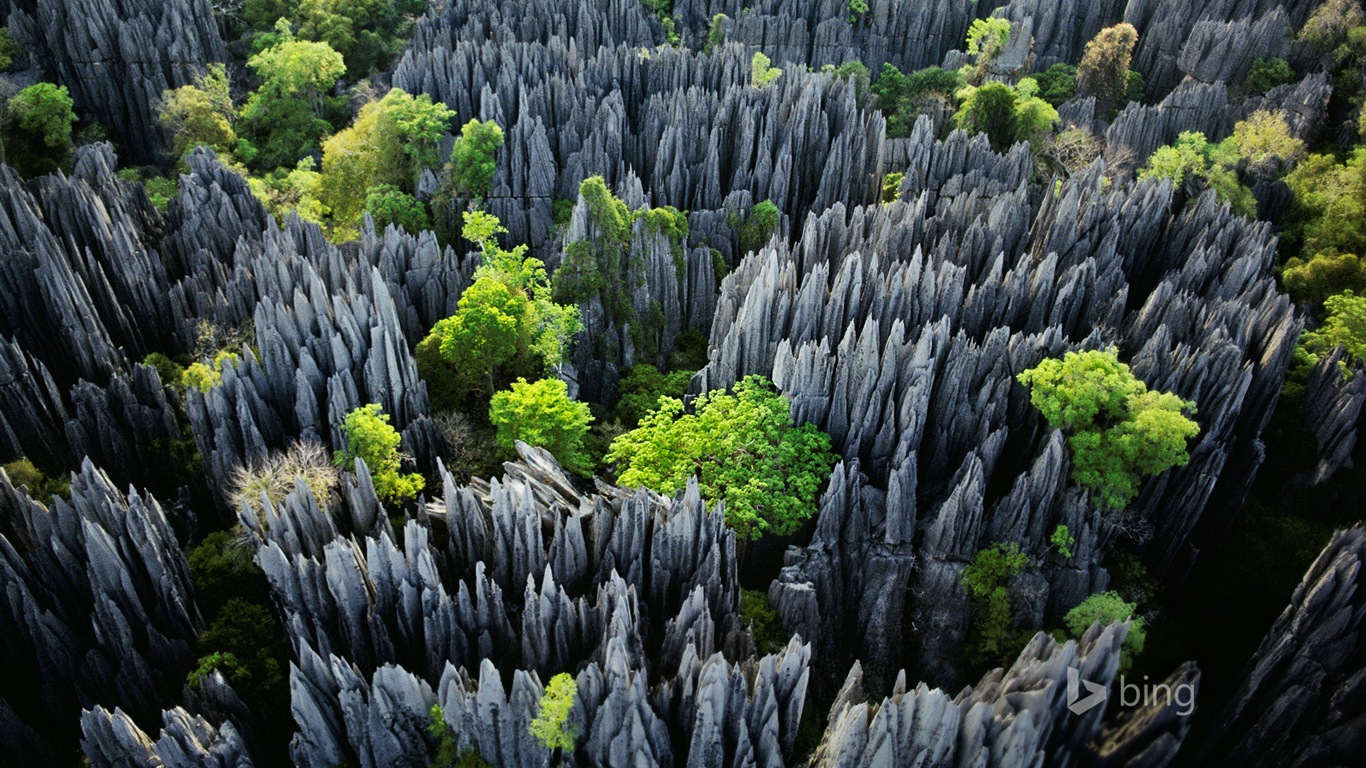 Janvier 2015 fonds d'écran HD Bing #29 - 1366x768