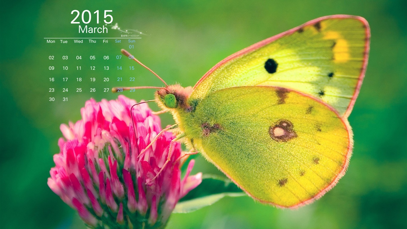 2015年3月 月曆壁紙(一) #1 - 1366x768