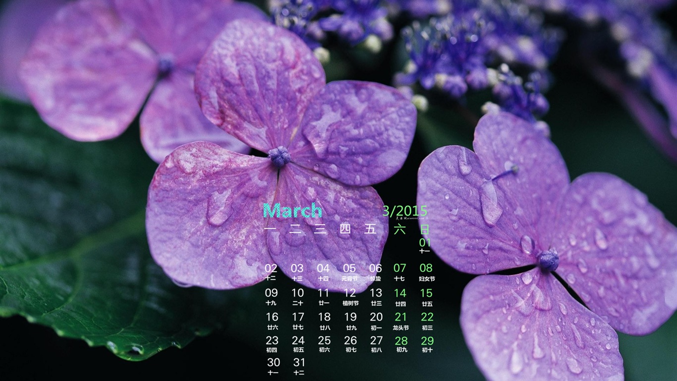 2015年3月 月曆壁紙(一) #5 - 1366x768