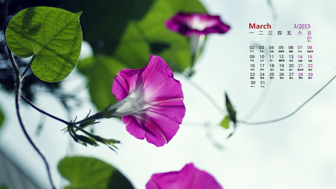 2015年3月 月曆壁紙(一) #14 - 1366x768