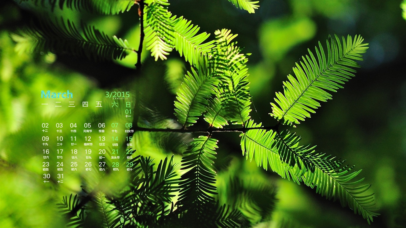 2015年3月 月曆壁紙(一) #18 - 1366x768
