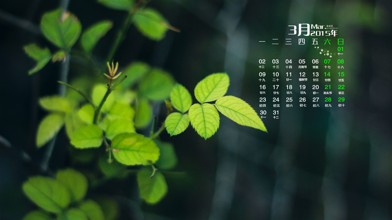 2015年3月 月曆壁紙(一) #19 - 1366x768