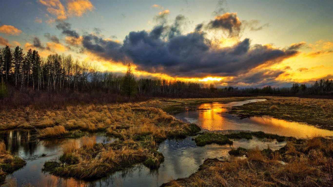 Belle couleur, décor naturel de fonds d'écran HD #13 - 1366x768