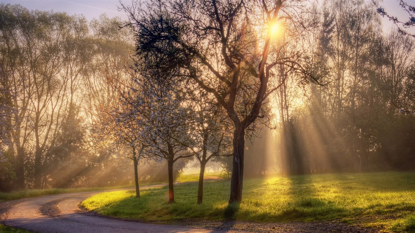 迷人的色彩，自然風景 高清壁紙 #18 - 1366x768