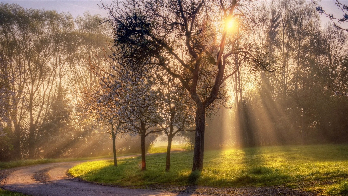 Belle couleur, décor naturel de fonds d'écran HD #18 - 1366x768