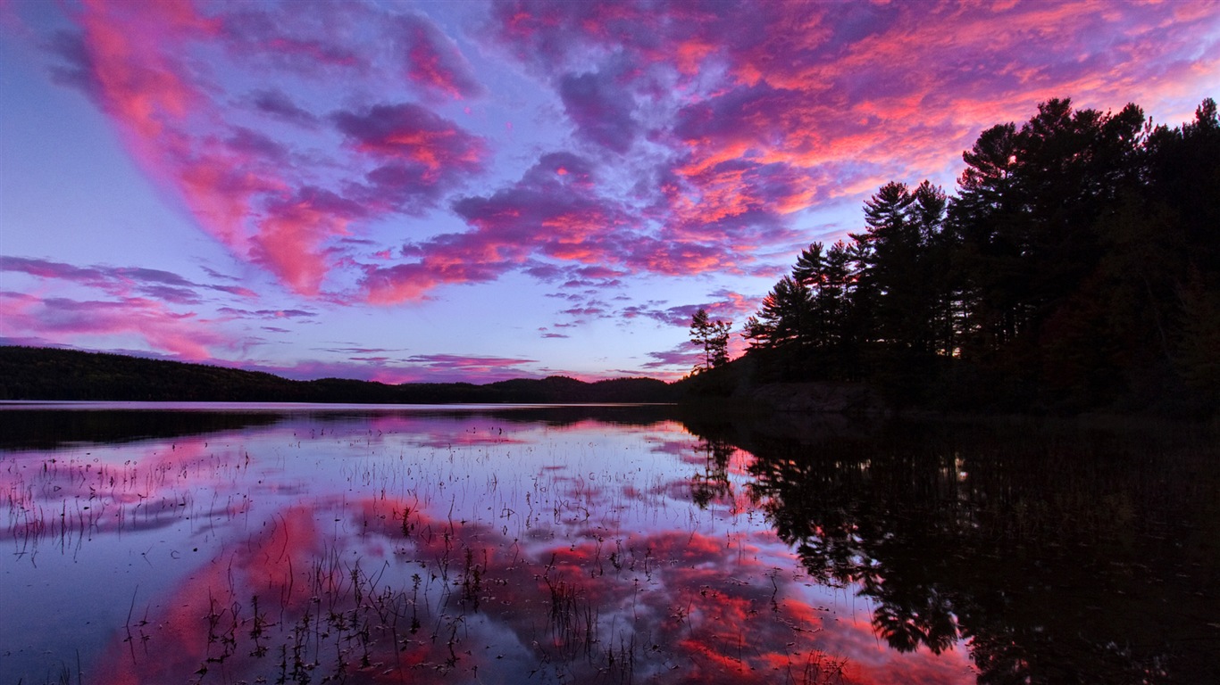 Belle couleur, décor naturel de fonds d'écran HD #19 - 1366x768